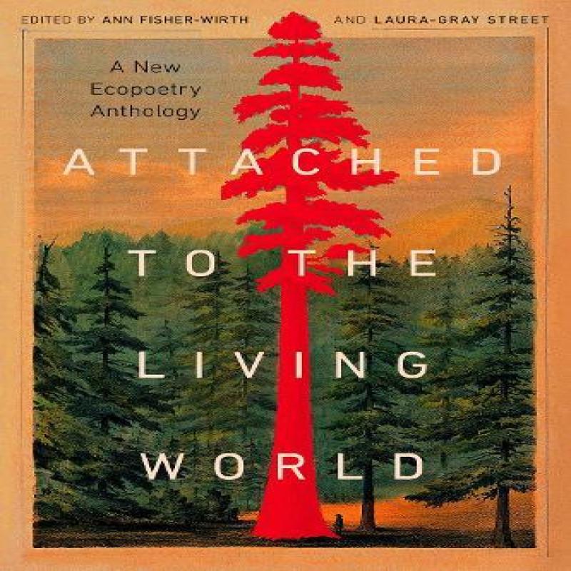 Attached to the Living World Paperback Book 9781595343086