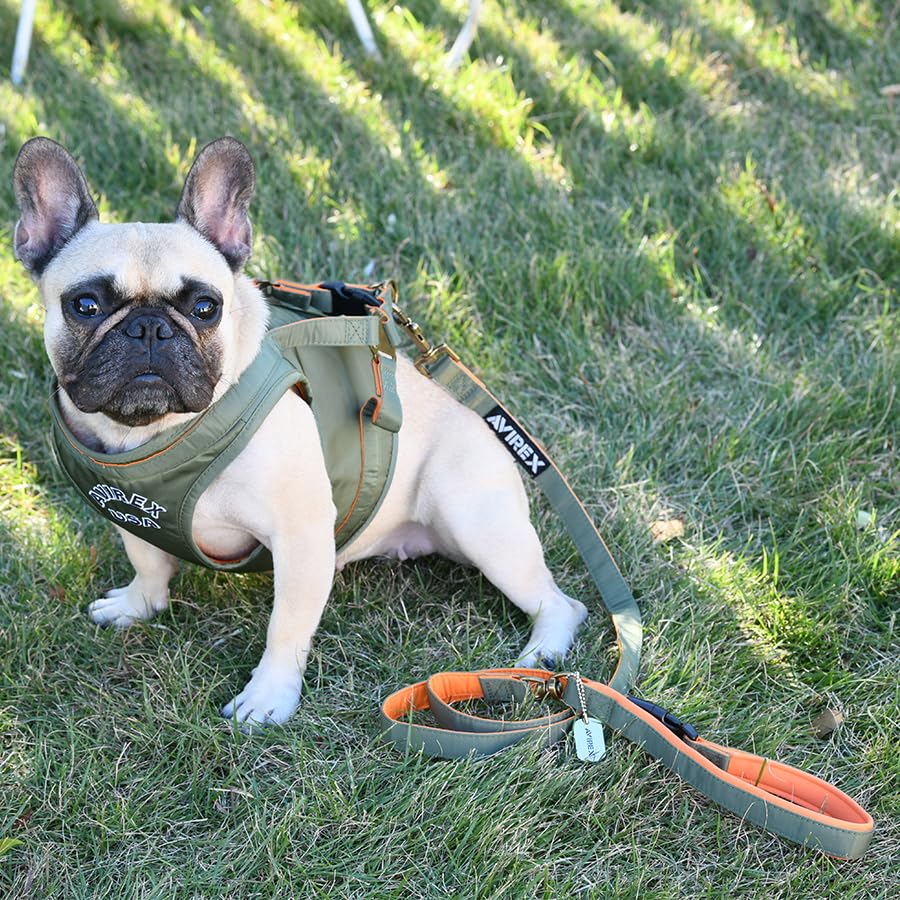 Avirex MA-1 Harness | Dog Harness, Adjustable Size, Training, Walking, Outings, Anti-Pulling, Easy On/Off (Khaki, Size M)