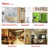 200PCS Anti Insect Balls Clothing Cabinet Insect Control Protection