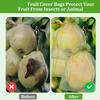 Fruit Protection Bag Plant Growth Bag Vegetable and Fruit Insect Proof Bag Strawberry and Grape Bird Proof Bags
