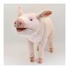 BH6347 HANSA Pig 63
