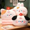 Cartoon Plush Toy Pillow Blanket Combo Office Nap Car Travel Gift Adults Doll