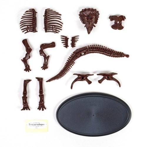 Gakken Triceratops 1/35 Scale Skeleton Model Kit & Life-Size Poster (Ages 6 and Up) Q750808