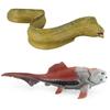 Arabian Pike Eel Kids Marine Animal Toy Set With Realistic Plastic Models For Educational Play
