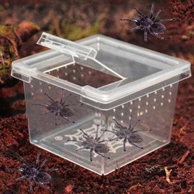Reptile Breeding Box With Flip Cover Transparent Breathable For Frogs Snake Spider Portable Reptile Terrarium Habitat