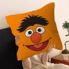 S-Sesame S-Street Cartoon Cushion Cover Car Throw Pillow Case For Sofa Car Christmas Gift 40x40cm 45x45cm