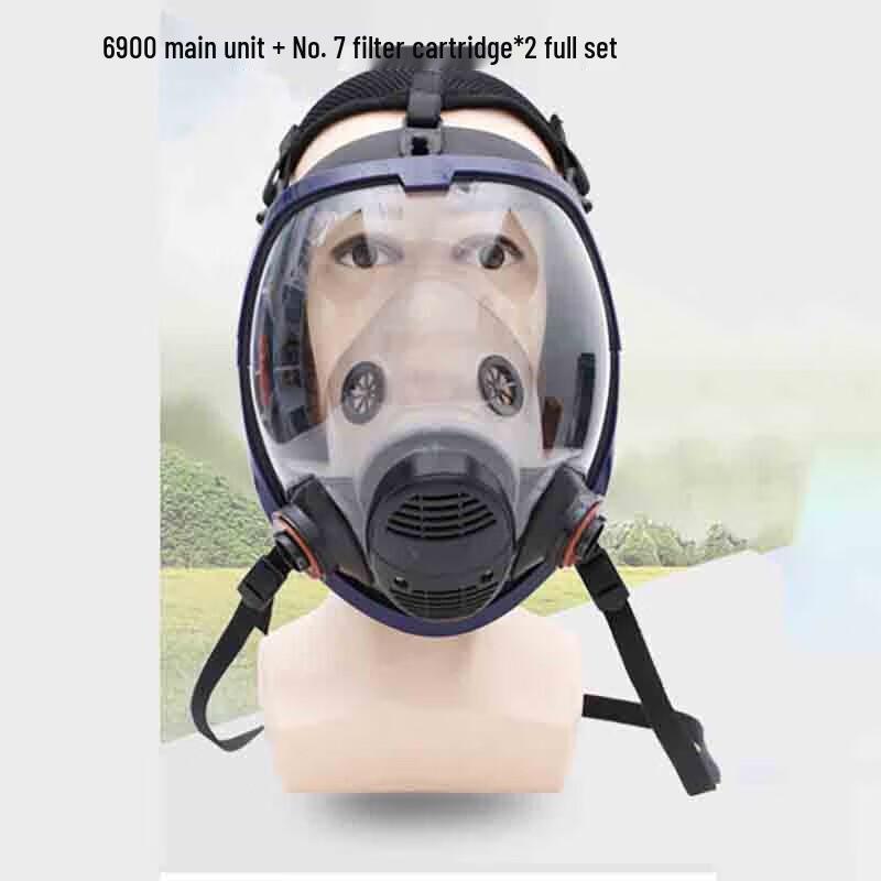 WEZHO Full Face Chemical and Dust Respirator