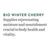 Biotique Winter Cherry Body Lotion 120ml – Intense Hydration, Anti-Aging, Natural Botanicals for All Skin Types