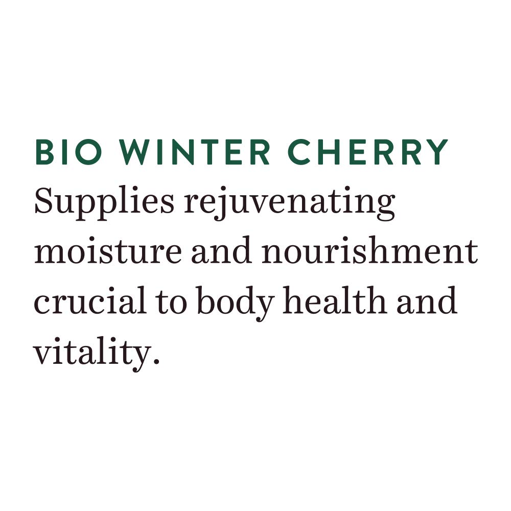 Biotique Winter Cherry Body Lotion 120ml – Intense Hydration, Anti-Aging, Natural Botanicals for All Skin Types