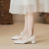 Versatile shallow mouth fairy style 2025 summer and autumn new models with skirts gentle word with thick heel Mary Jane women's shoes