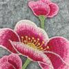 Exquisite Water-Soluble Embroidery Collar Applique Handmade Clothing Decoration Accessories Lace