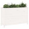 VidaXL Lit surélevé de jardin blanc 119,5x40x78 cm bois de pin massif 825290
