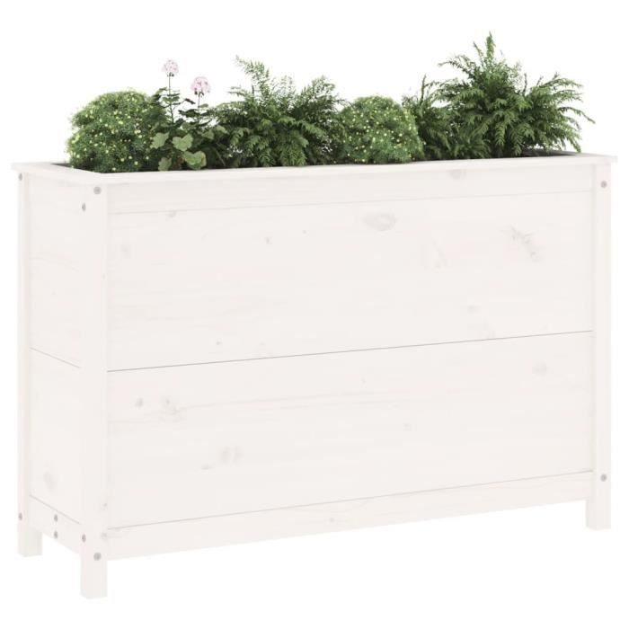 VidaXL Lit surélevé de jardin blanc 119,5x40x78 cm bois de pin massif 825290