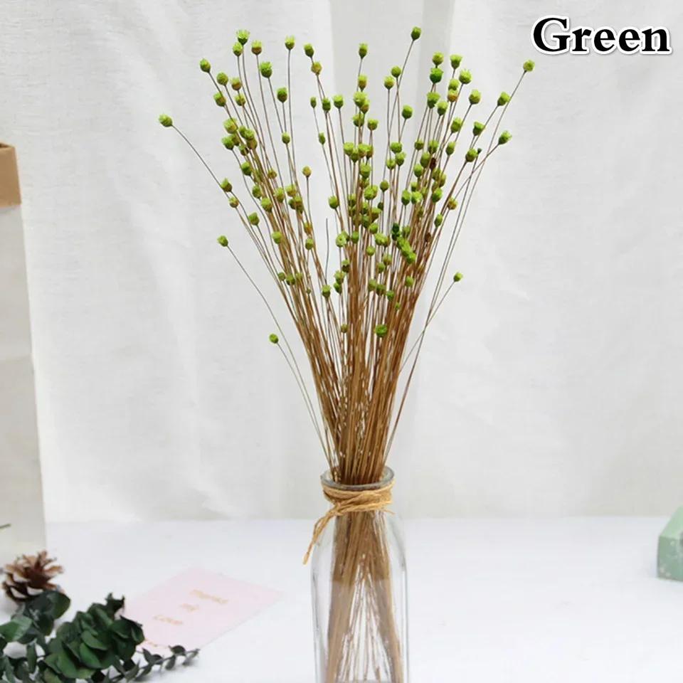 50 Bouquets of Brazilian Lucky Flowers Preserved Flowers Natural Real Small Dried Flowers Bouquets