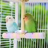 Stable Wooden Bird Swing Rope Perches Toy Climbing Toy For Parrots Playing Exercise And Balance Training