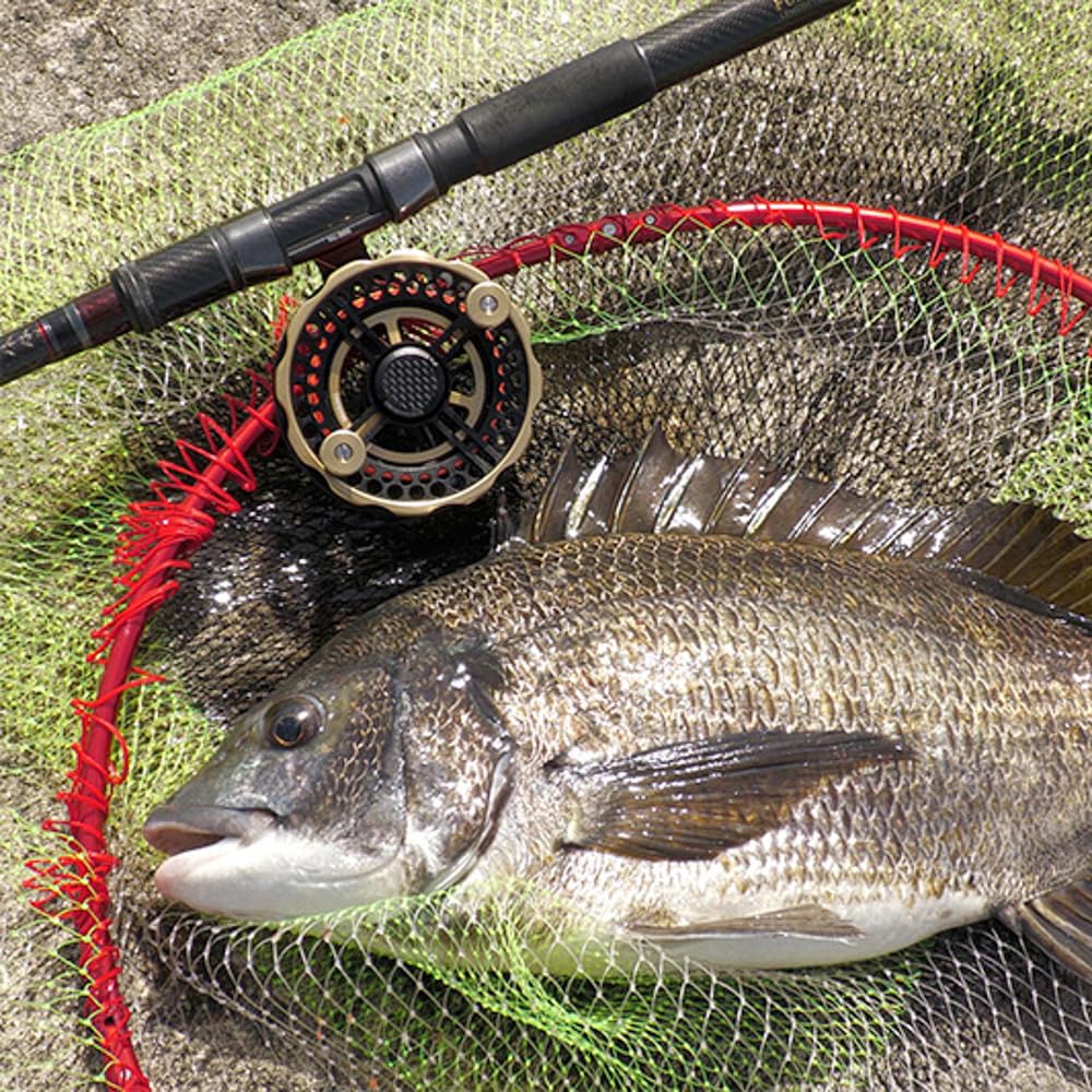 Kurodai Kobo Kurodaishi THE ATHLETE Hechi (Athlete Hechi) Hechi Reel 90W-TG (Titanium/Gold)