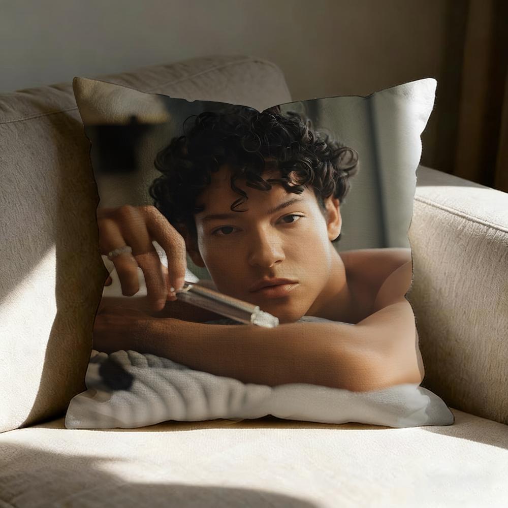 Singer Omar R-Rudberg Pillow Case Linen Pillow Covers Cover For Couch Living Room Bench Patio Floor Linen Home Decor