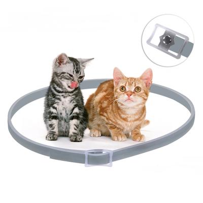 cheapest seresto for cats