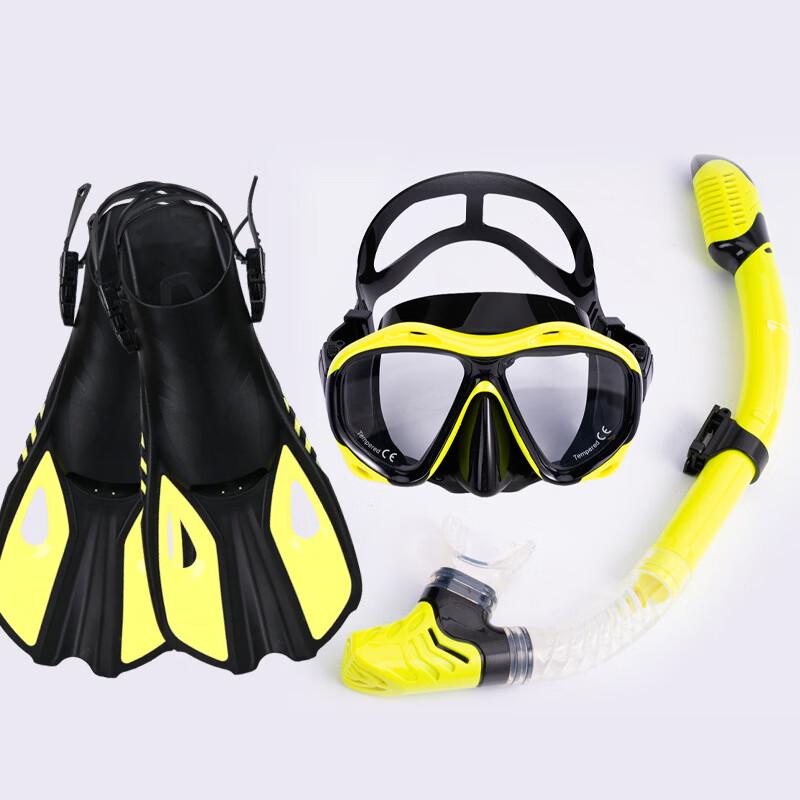 Adult Full-Face Snorkeling Diving Mask