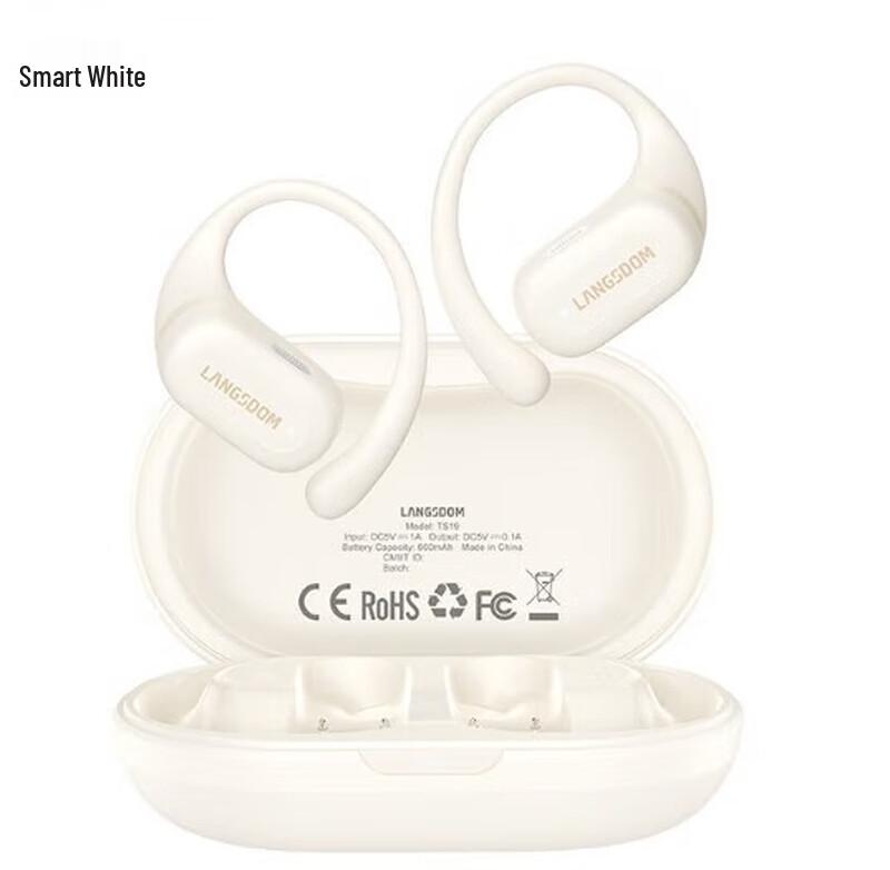 

Lanston TS19 Open-Ear Sport Bluetooth Earphones