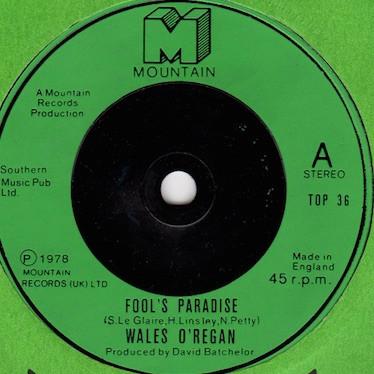 

7inch Record WALES O REGAN - Fool s Paradise TOP36 Mountain 1977 UK Rock Used