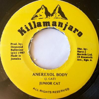 7inch Record JUNIOR CAT - Anerexol Body NONE Killamanjaro 1987 Jamaica Reggae, Ska & Dub Used