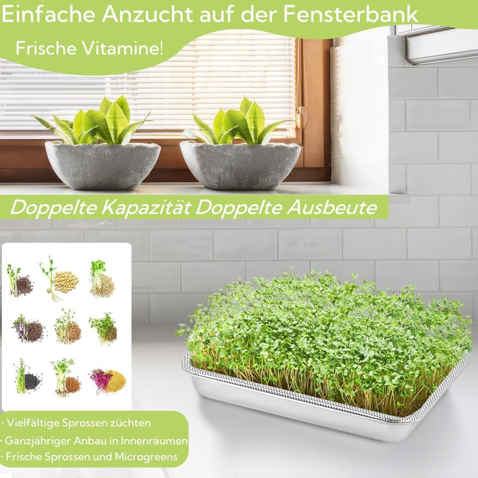 Sprouting Tray Set Steel Pet Grass Soilless Hydroponic Bean Seedling Tray Soilless Cultivation Tray Home Sprout Seedling CN