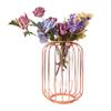 Nordic Lantern Shaped Wrought Iron Vase Glass Iron Tabletop Flower Vase(  Gold)