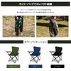 Lounge Chair Outdoor Chair Lightweight Foldable Load Capacity 100kg Camping Chair Leisure Chair Chair with Storage Bag Set of [Green & Gold] sl-yz800