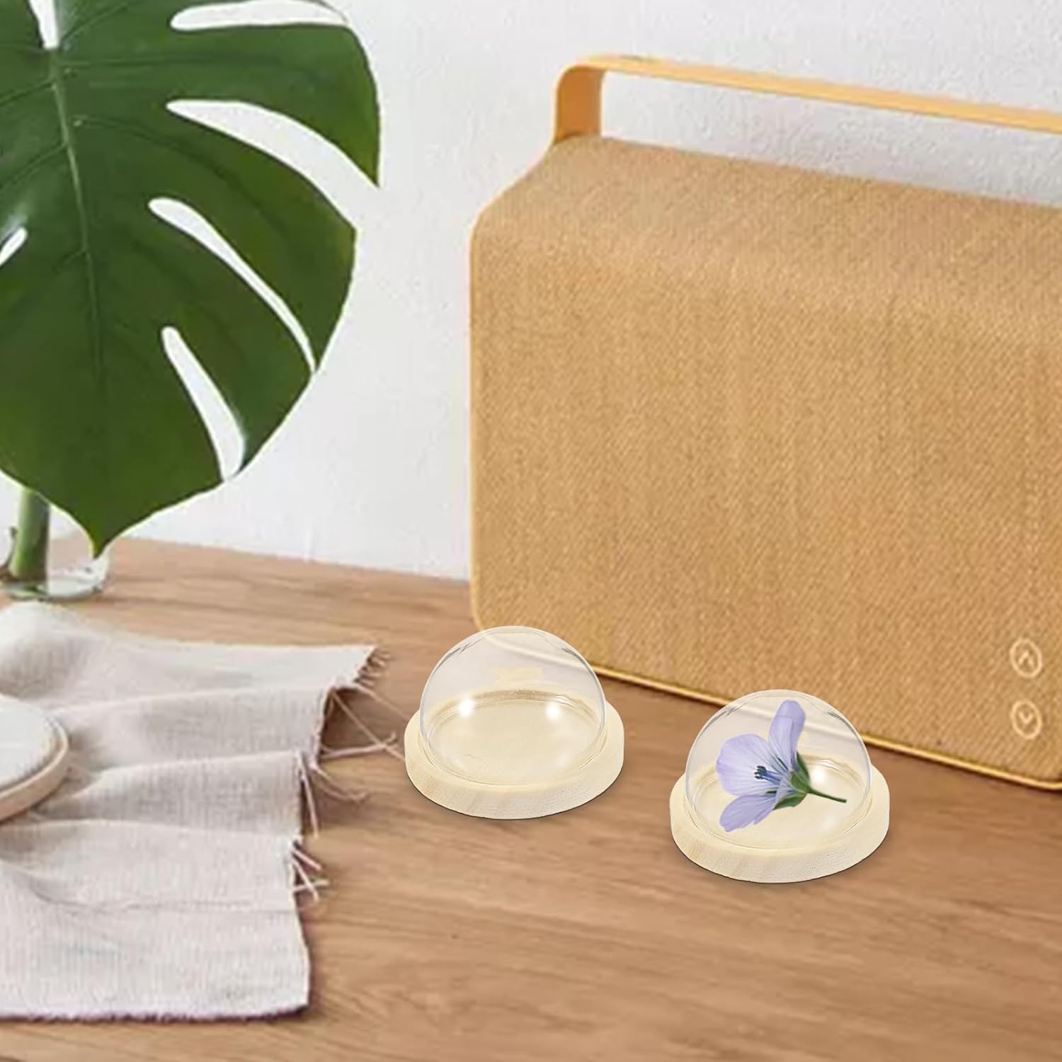 3pcs Glass Cloche Display Dome Glass Bell Jar with Wooden Base Small Glass Bottles Dome Decorative Jars Cloche Display Case for Collectibles Figurine