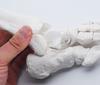 Monolife Foot Bone Model, Foot Bone Model, Ankle Joint Model, Right Foot Specimen, Ankle, Articulating Type