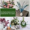20 PCS Dried Eucalyptus Stems, 17'' Natural Real Live Greenery Eucalyptus Leaves Branches Hanging Shower, Preserved Fresh Eucalyptus Plant for SPA
