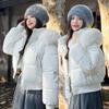 Wind hooded big fur collar cotton clothes women's winter new high waist short bread clothes jacket