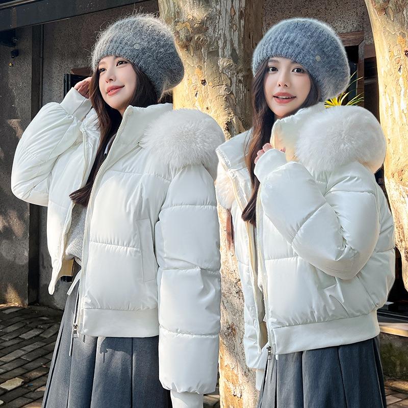 Wind hooded big fur collar cotton clothes women's winter new high waist short bread clothes jacket