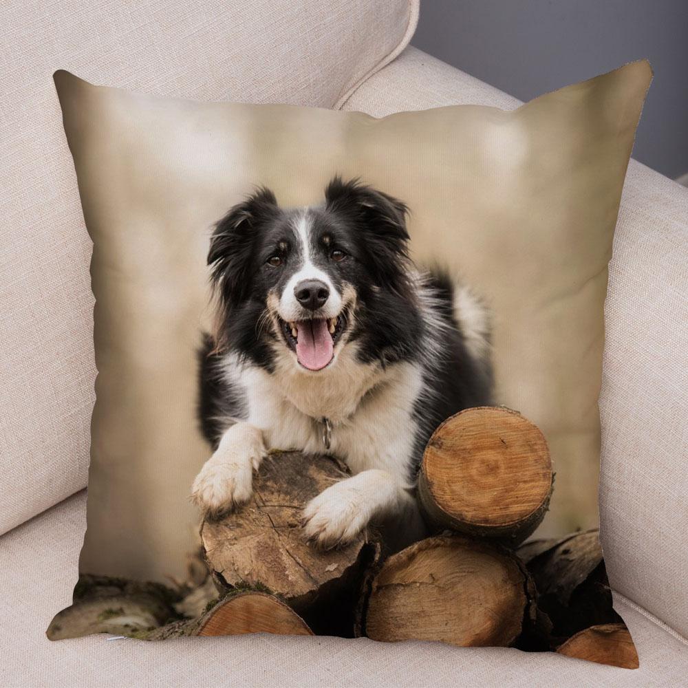 Cute Pet Animal Dog Print Pillowcase Scottish Border Collie Cushion Cover  Sofa Car Decoration