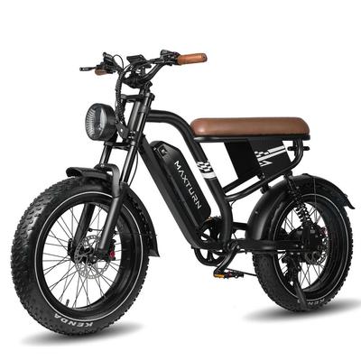 Electric Bicycle Adult Maxturn Mx10 250W Motor 20" Fat Tire Fully Suspended Adult Electric Bike 48V 13.5AH Dual Disc Brakes Max Load 150Kg