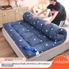 Three-Dimensional Feather Velvet Dormitory Tatami Mattress Topper