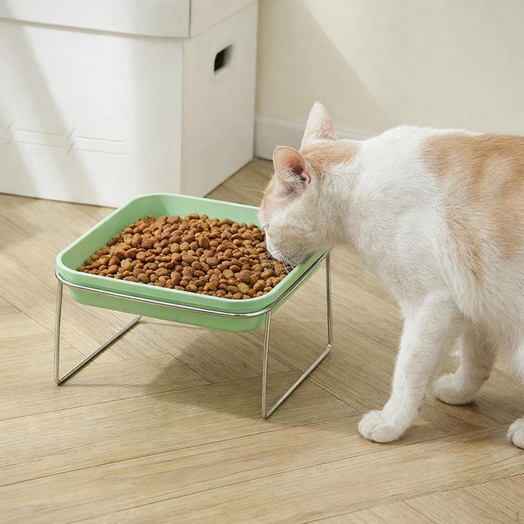 Bowl Easy to Clean Elevated Pet Feeder Raised Cat Food for Small Pets Little Dogs