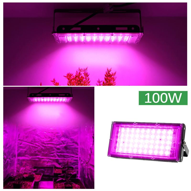 

Светодиодная лампа для выращивания растений Aidier 100 Вт, 220 В переменного тока, светодиодный прожектор для растений полного спектра