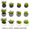 Plante Grasse Artificielle - NO NAME - 6cm - Gris