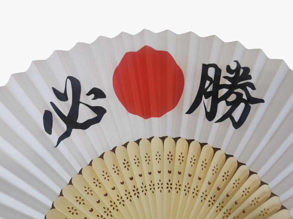 Aofuji Todo Hinomaru Victory Fan Perfect for Cheering On Japan At the Olympics or for Entrance Exams - - HISHO-801
