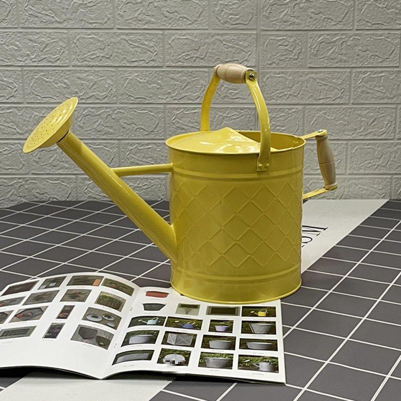 Large-Capacity Dual-Use Iron Watering Can: Ideal for Home Flower Care, Vegetable Planting, and Gardening Spraying.