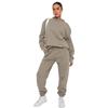 Autumn/Winter Women's Solid Color Hooded Sweater & Casual Trousers Set