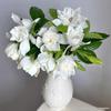 Hydroponic Double Petal Gardenia Bouquet: Fresh, Large-Leaf, Strong-Fragrance Cut Flower Buds