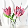 Artificial King Protea Flowers Lifelike Tropical Floral Arrangements Faux Protea Cynaroide with Stem for Wedding Centerpiece Home Office Table Decor