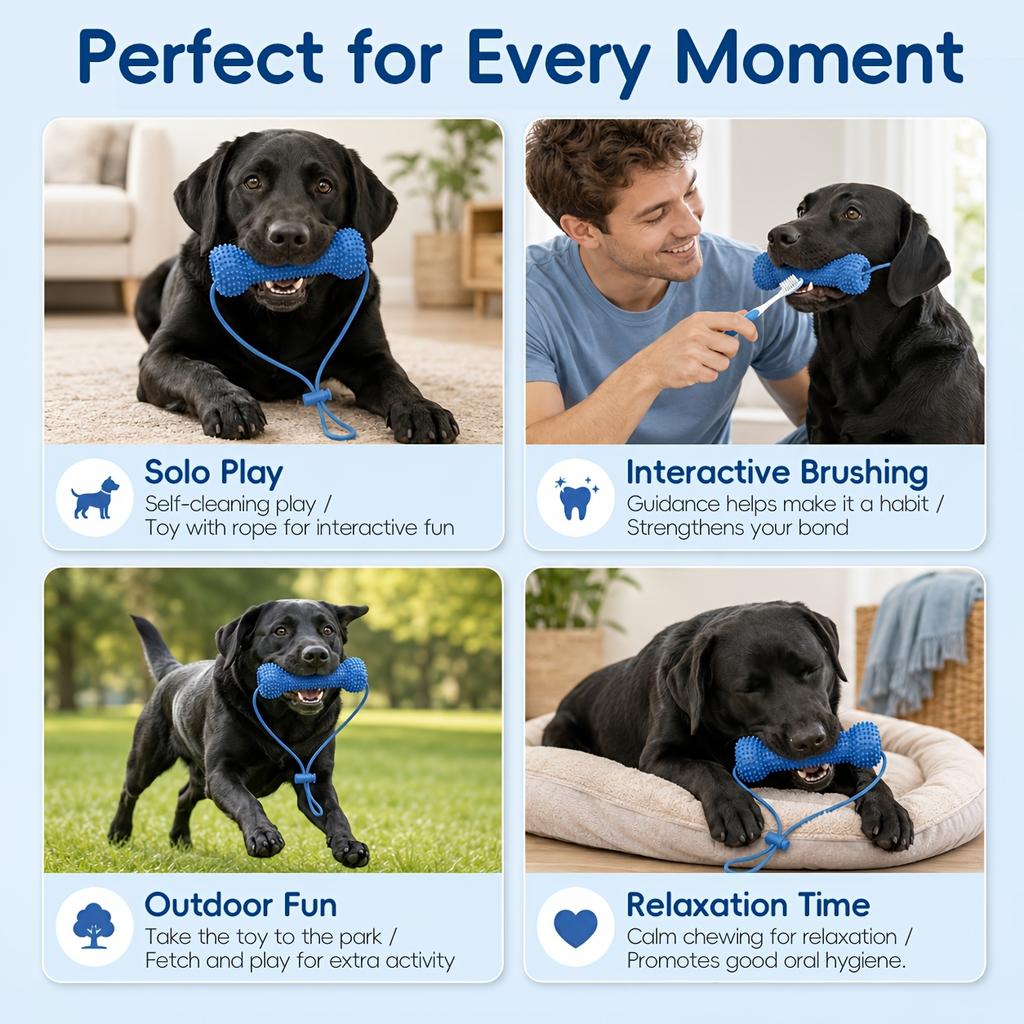 Dog Toothbrush Chew Toy Interactive Teeth Cleaning Durable Nylon Dental Stick For Small Medium Large Dogs