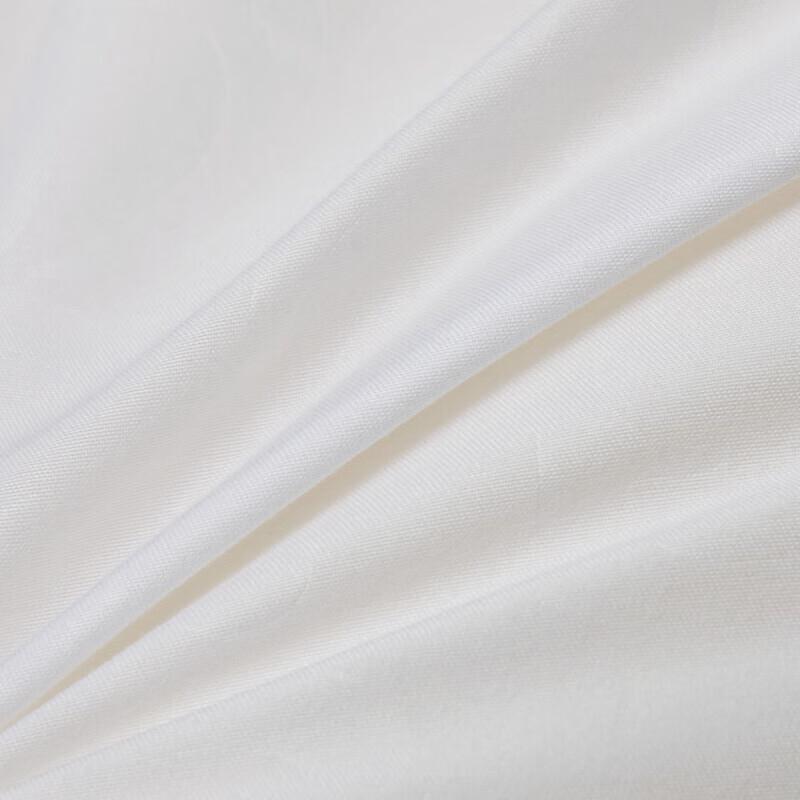 Mercury Home Textiles Antibacterial All-Season Two-in-One Duvet