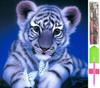 Large 5D Diamond Embroidery Mosaic Picture Set D06