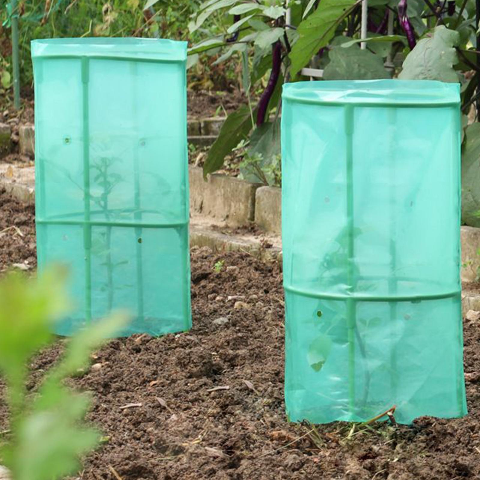 

Garden Cloches Seedling Plant Cloches for Garden 4 Pieces Frost Protection Reusable Animals Guard Cage for Blueberry Bushes China Mainland