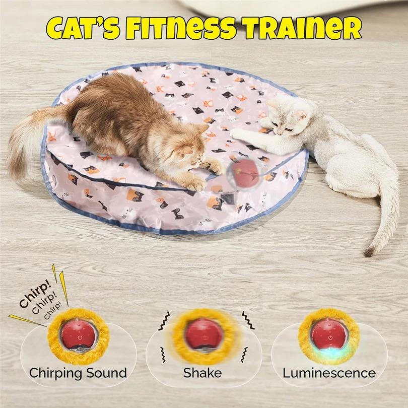 Interactive Cat Toys Ball Fast Rolling in Pouch Hide and Seek Kitten Toy Motion Activated Interactive Cat Toy for Indoor 2025